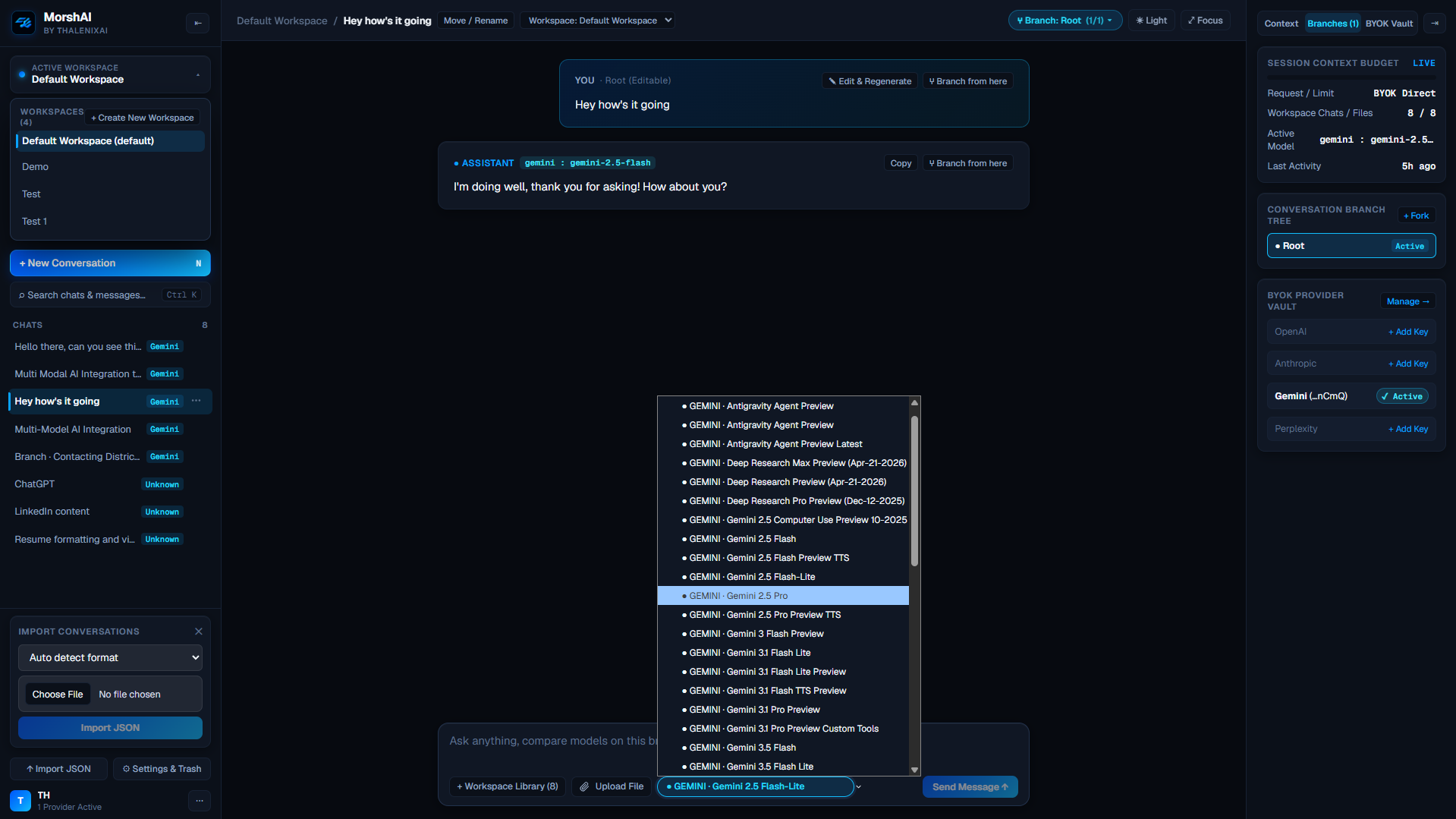 MorshAI workspace showing model selector dropdown, BYOK Provider Vault, and Import Conversations panel